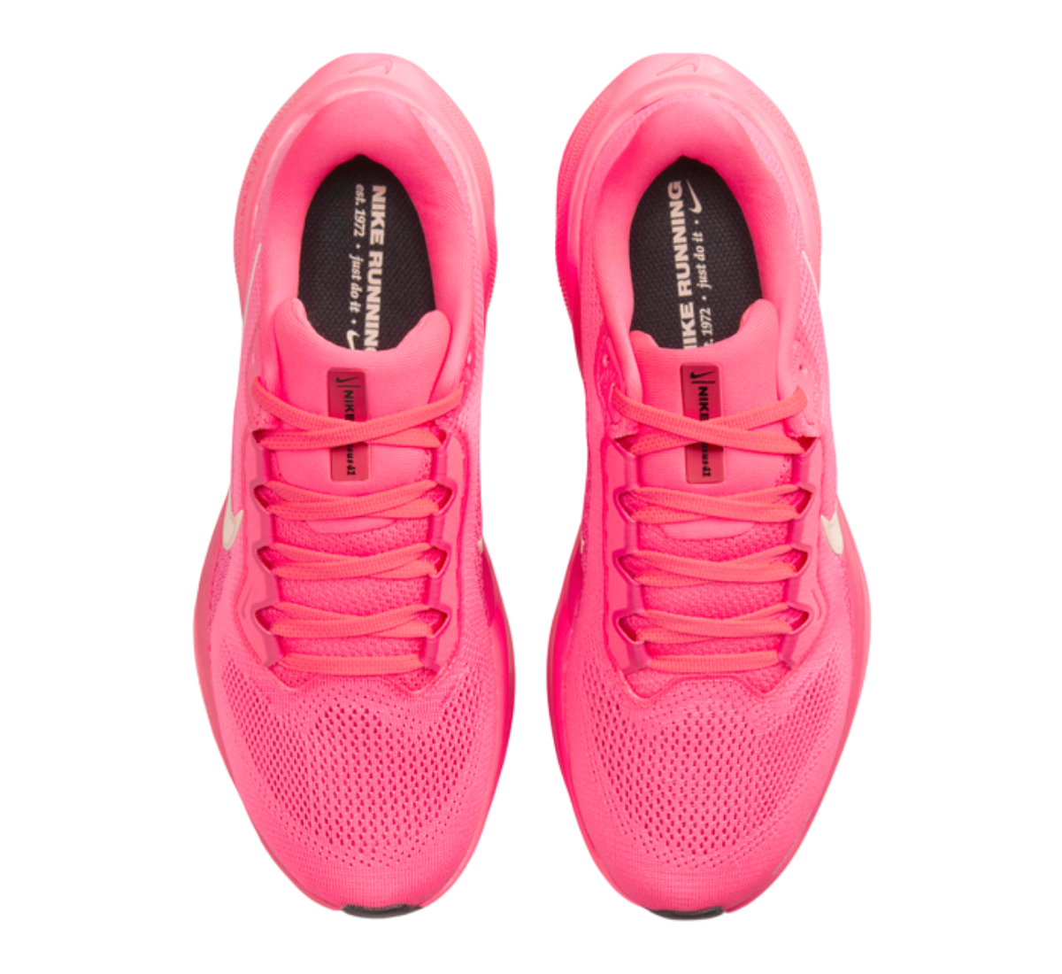 Nike Air Zoom Pegasus 41 (Hot Pink)