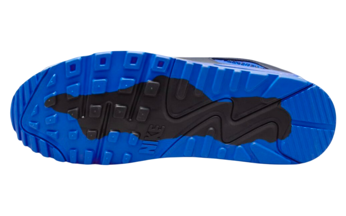 Nike Air Max 90 Goretex (Cool Grey/Pure Platinum)
