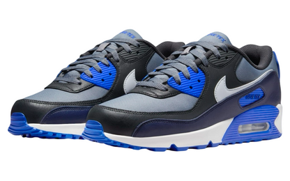 Nike Air Max 90 Goretex (Cool Grey/Pure Platinum)