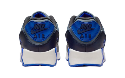 Nike Air Max 90 Goretex (Cool Grey/Pure Platinum)