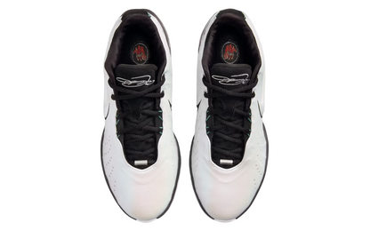 Nike Lebron 21 (White/Black)
