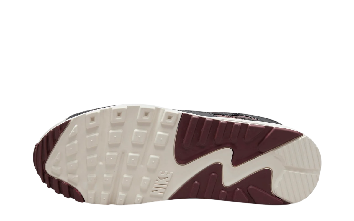 Nike Air Max 90 (Wolf Grey/Burgundy Crush)